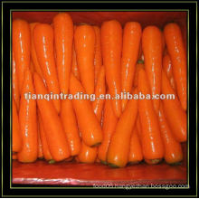 Buy Fresh Carrot